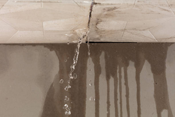 Professional Water Extraction technician working in Freeport, PA